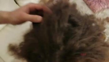 Hot bitch Raquel sucking that dick POV